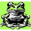 grenouille