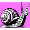 Snail
