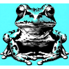 frog