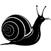 Escargot