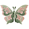Schmetterling 