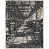 Lost Places Fox Retro Industria Crimini Animali