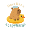 Flotte comme un capybara