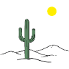 Cactus du désert au soleil