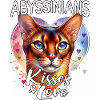 Abessinierkatze Liebe
