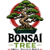 Japanese Bonsai Tree Plant Bonsai