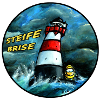 Seenotschaf-steife_brise