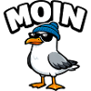 Moin Seagull
