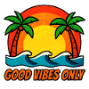Vibes Palm Sunset