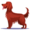 Irish Red Setter (comic)