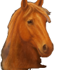 Pastell Pferd