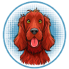 Irish Red Setter (Comic-Porträt)