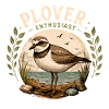 Küstenvogel mit Regenpfeifer