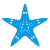 Starfish