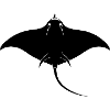 Stingray