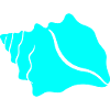 Turquoise Blue Shell Row