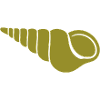 Spiral Snail Olive Motif