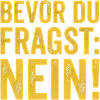 Spruch Bevor du fragst Nein