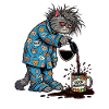 Bonjour Chat
