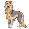 Afghan Hound (bande dessinée)
