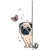 Mops mit Schmetterling