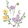 Gartenblumen 