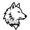 Wolfsprofil Linienkunst