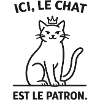  Ici Le Chat Est Le Patron