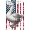 Embden Goose US Emdengans