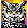 owl