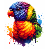 Forest lorikeet motif