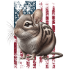 Degu US Degu