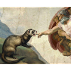 Ferret Beats God's Hand Ferret Meme