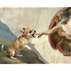 Dog God Hand Chihuahua Dogs meme