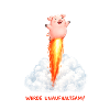 Raketen Schwein Unaufhaltsam