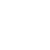 Plover Plover Enthusiast Bird Lover