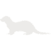 otter_tier_1