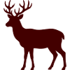 Deer Silhouette