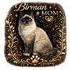 Birman Mom Gold Frame Cat