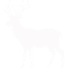 Moonlight Deer Silhouette