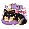Nap Queen Finnish Lapphund