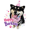 Happy Barkday Finnish Lapphund