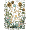 Kindness makes the coolest flowers grow