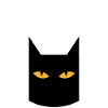 Chat noir