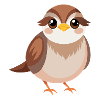 Bébé moineau