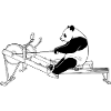 Panda am Rudergerät