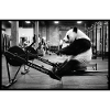 Panda Rowing