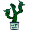 Surfer Surfing Kaktus