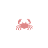 Beachcombing Collection