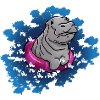 Hippo with swimming ring